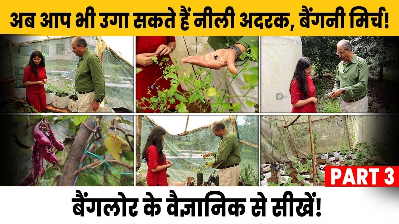 This Farmer Has a Collection of 560 Varieties of Rare Seeds | Prabhakar | Rare Seeds Farming