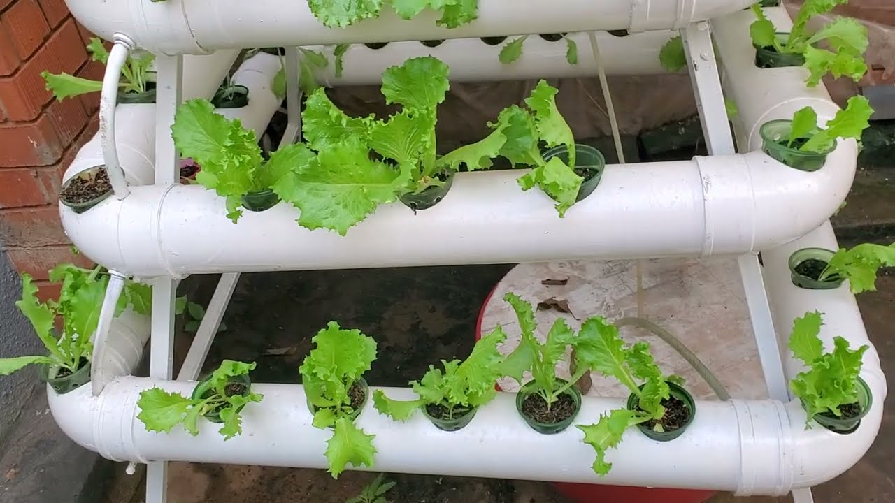 Hydroponics Updates