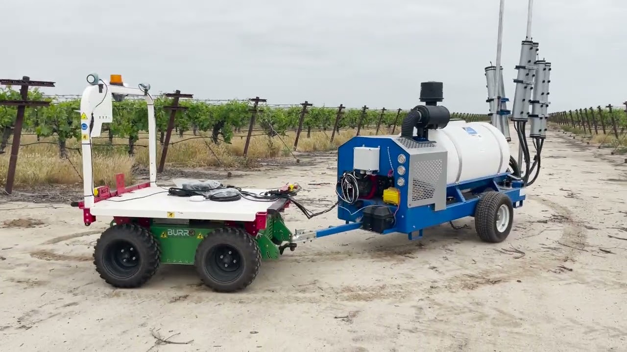 Grande + OnTarget in Table Grapes
