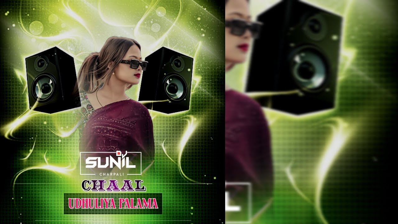 CHAL UDHULIA PALAMA - SAMBALPURI UT REMIX - DJ SUNIL CHARPALI