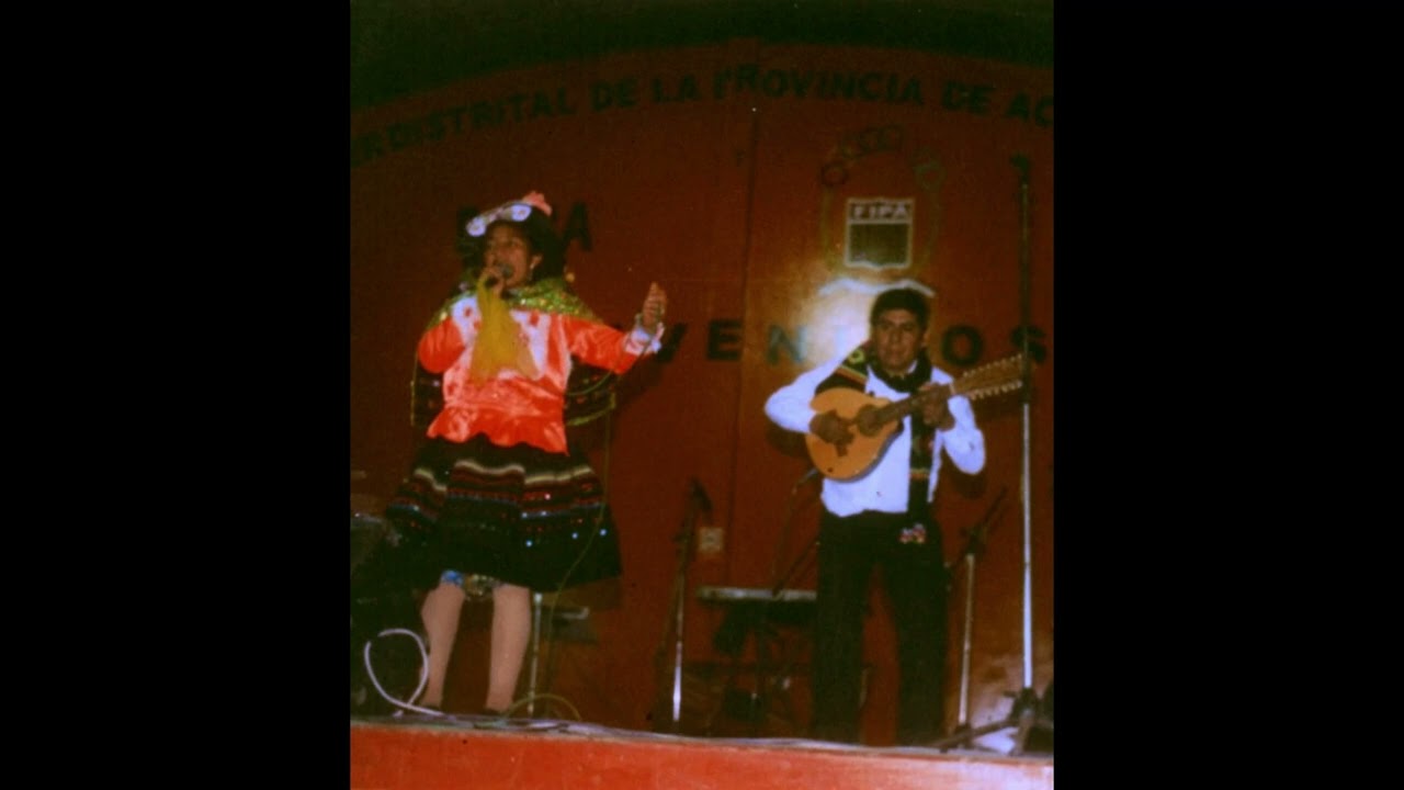 Siwarqinti - Golondrina de Huanaspampa | Bandurrias de Huancavelica