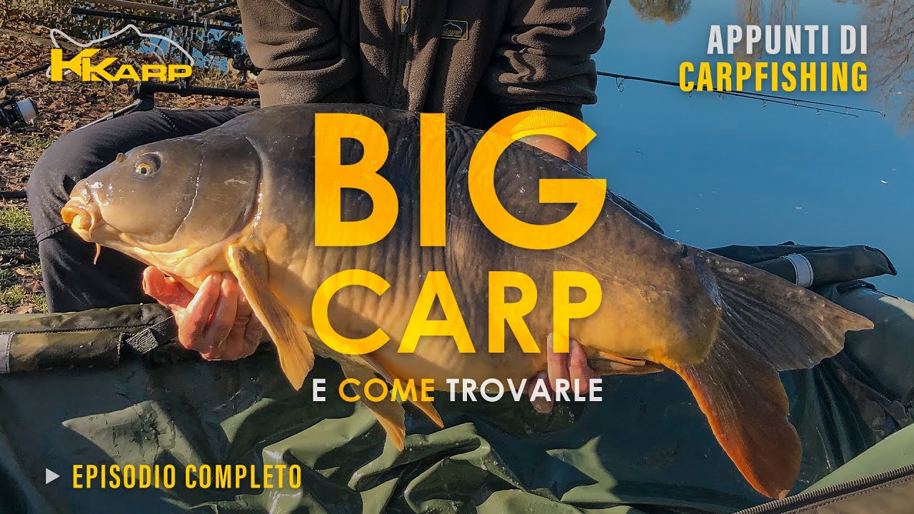 Pesca alla BIG CARP (e altri BIG FISH) | Appunti di CARPFISHING S2020 E4 | @KKarpfishing
