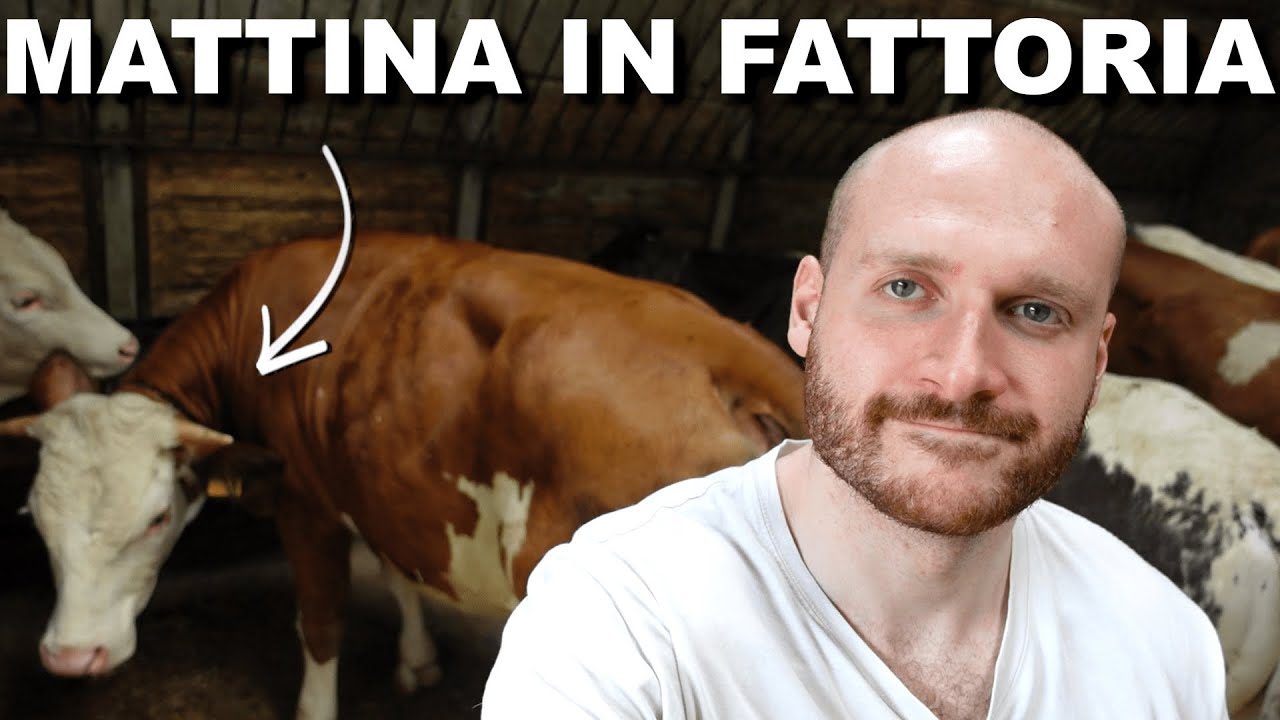 Cosa Succede in una MATTINA QUALUNQUE nella Mia Azienda Agricola? 👨🏻‍🌾🌱