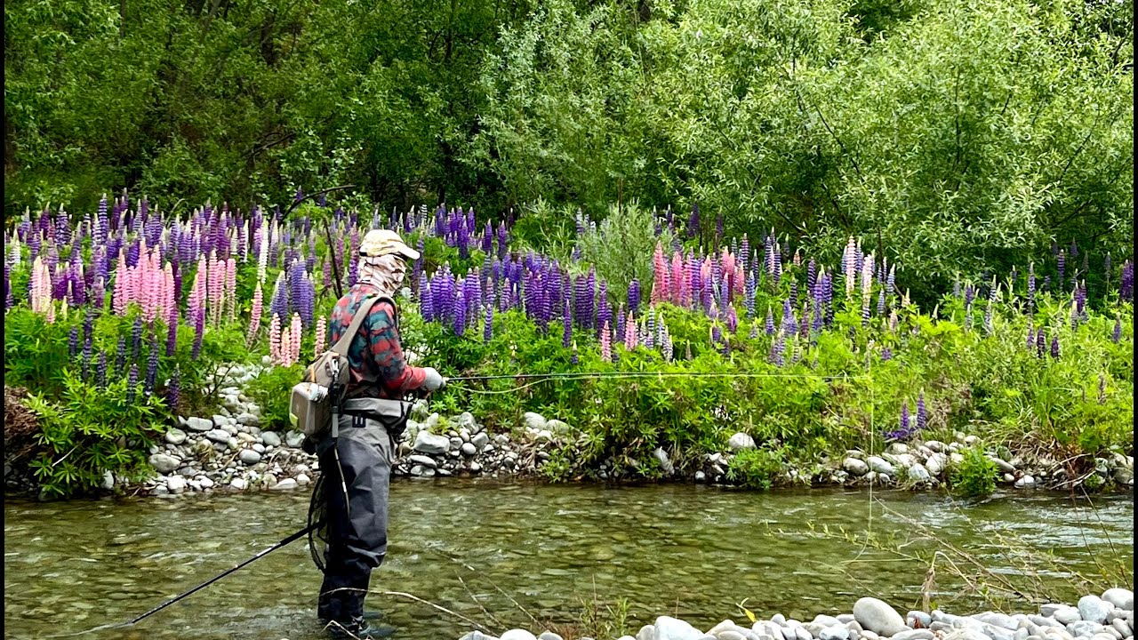 Fly Fishing McKenzie Country