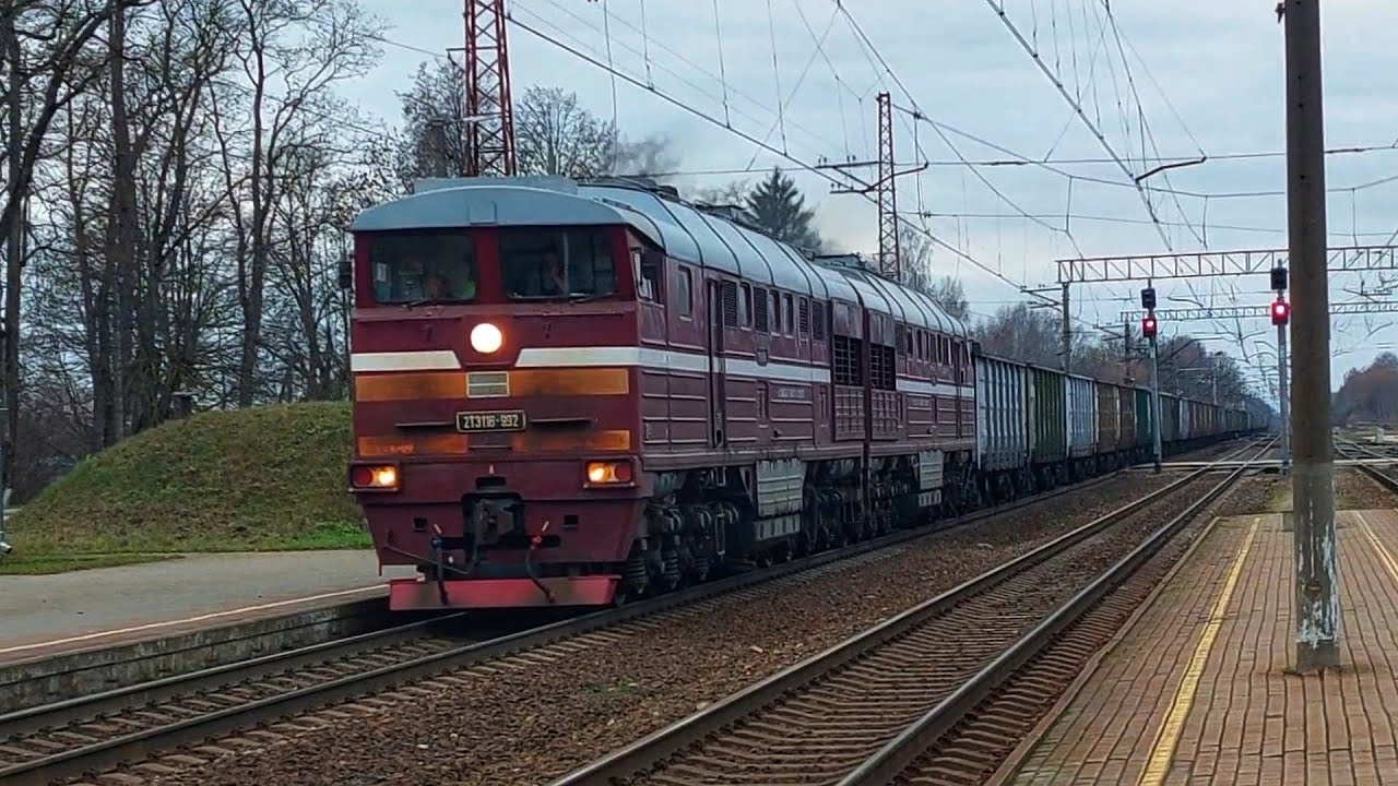 2TE116-992 (Baltijas Tranzita Serviss) with empty coal wagons passing Lielvārde station 