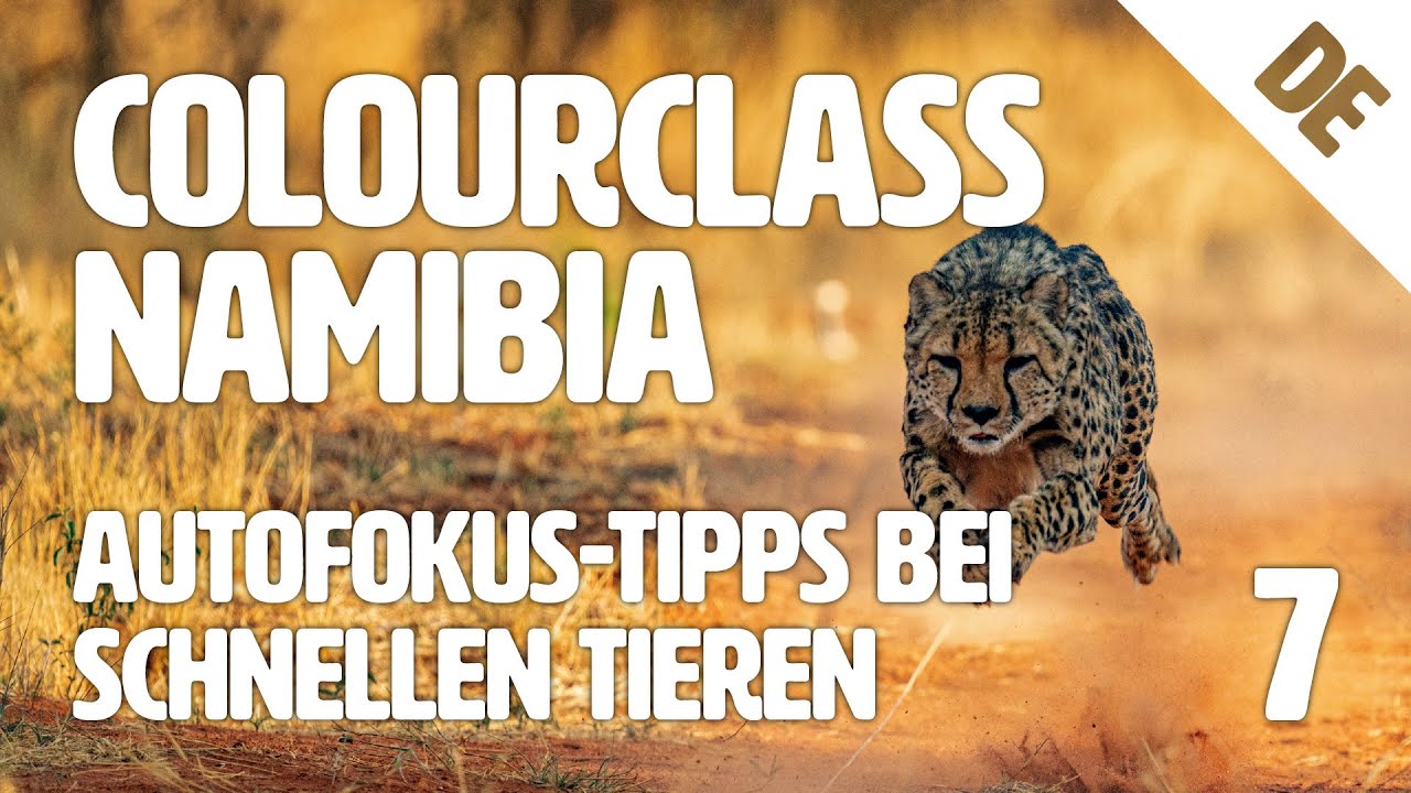Tierfotografie - schnelle Tiere 📷 Tipps von EIZO | Colourclass Namibia: Folge 7