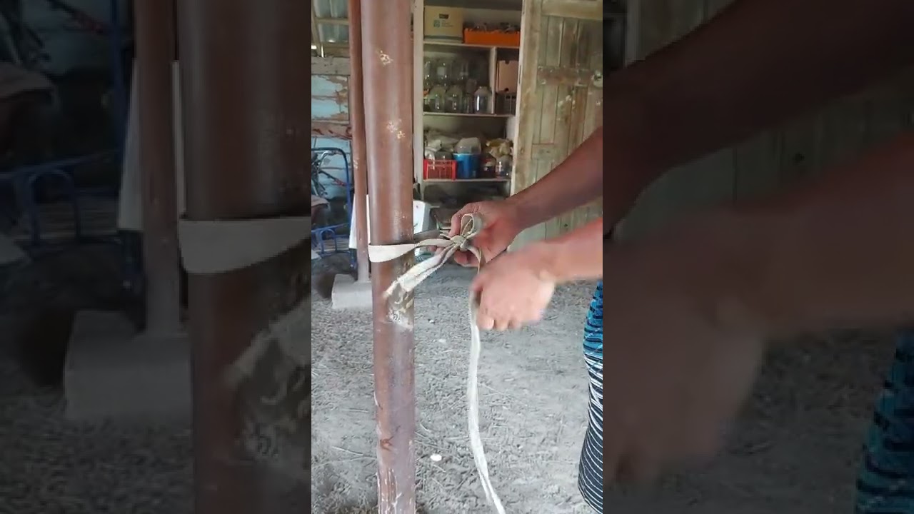 Курмек байлау