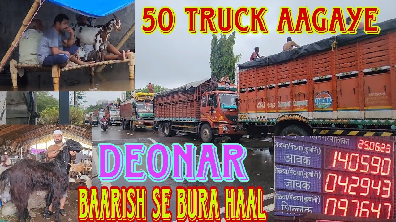 Jagah Hai Full | Bakre Pure Paani Main | Koi Madad Nahi | Gadi Pe Gadi Aagayi | Deonar Bakra Mandi.
