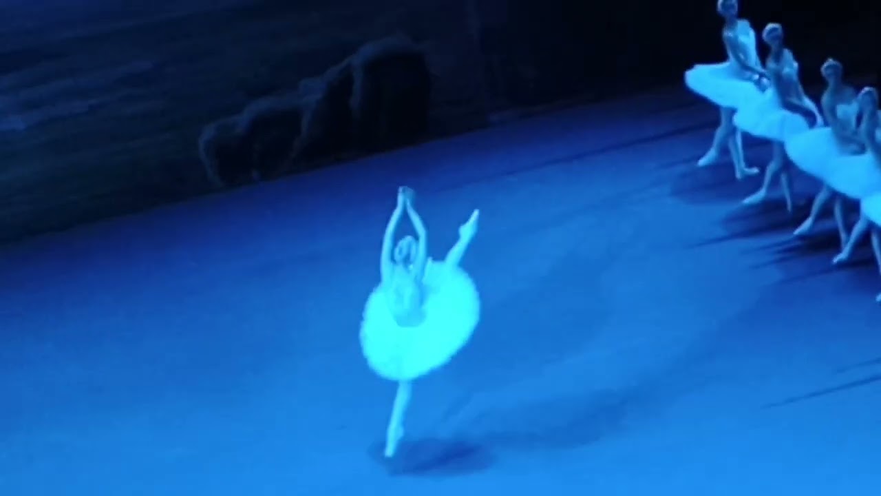 Лебединое озеро 5 февраля 2026