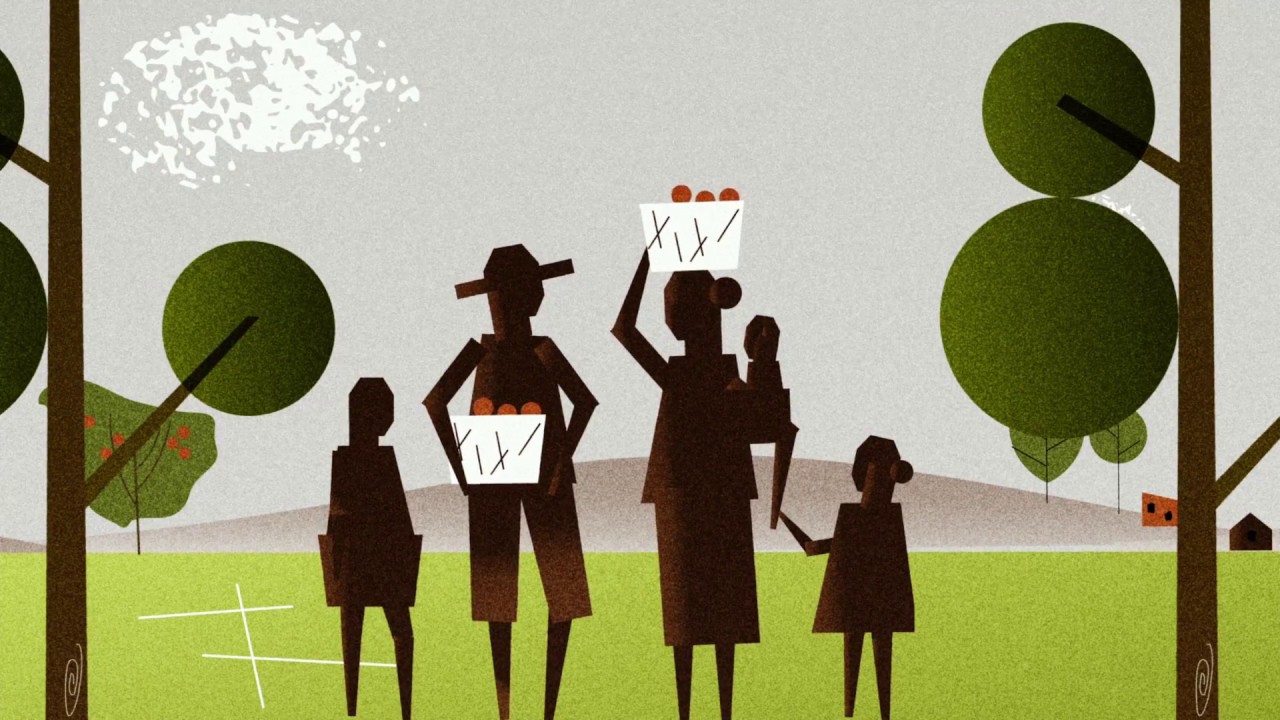 Fair carbon offsetting with Fairtrade Carbon Credits