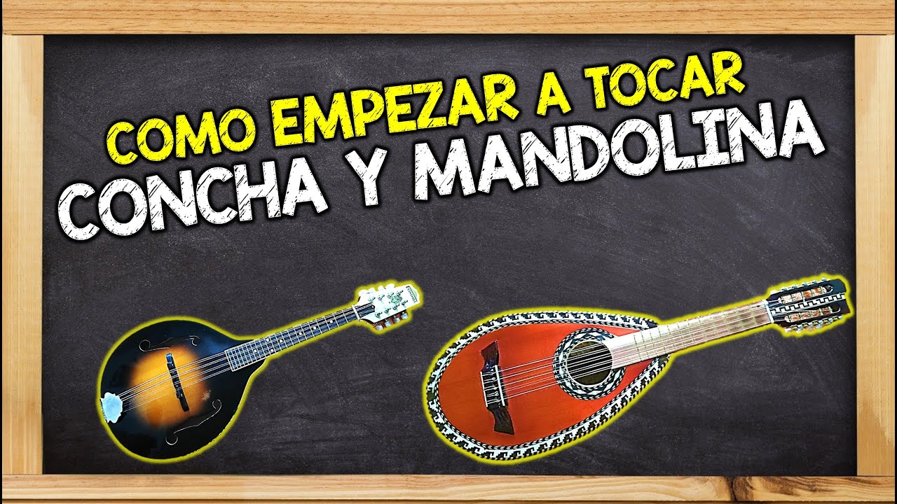Como tocar LA CONCHA y LA MANDOLINA DE CONCHEROS