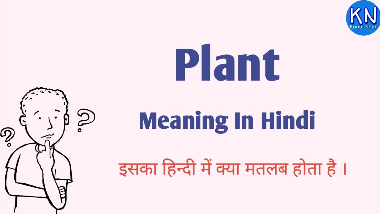 Plant Meaning In Hindi । Learn English । #knownew