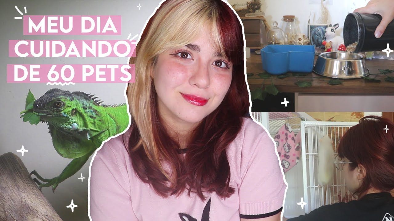 minha ROTINA MATINAL com 60 PETS (sim eu faço isso todos os dias)