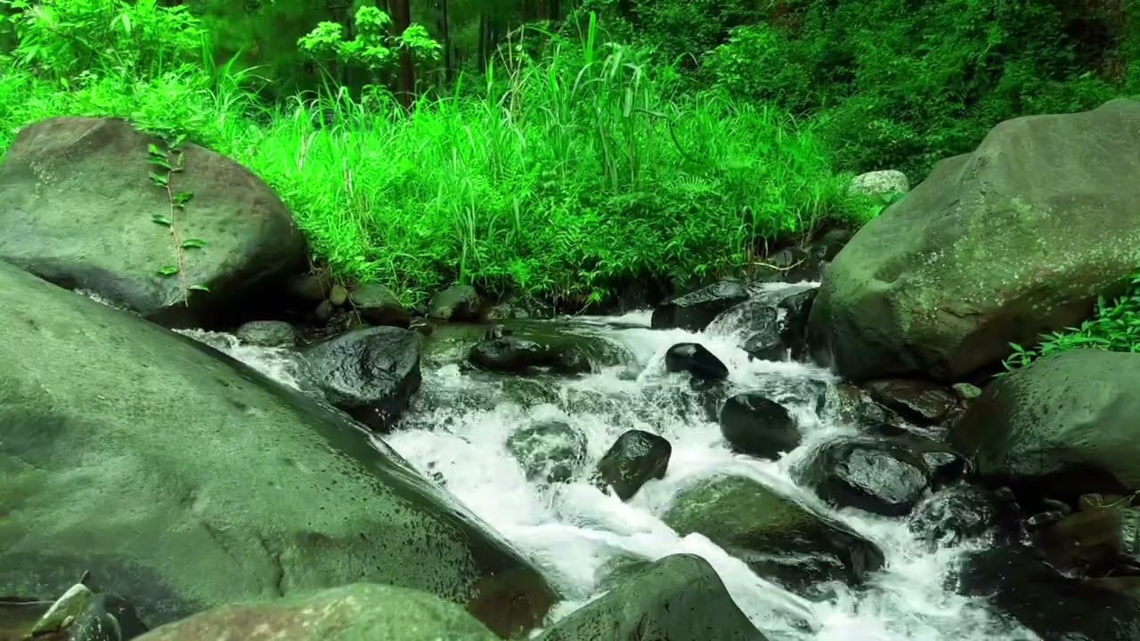 Forest Waterfall White Noise and Relaxtion | White Noise Waterfall Sounds for Sleeping