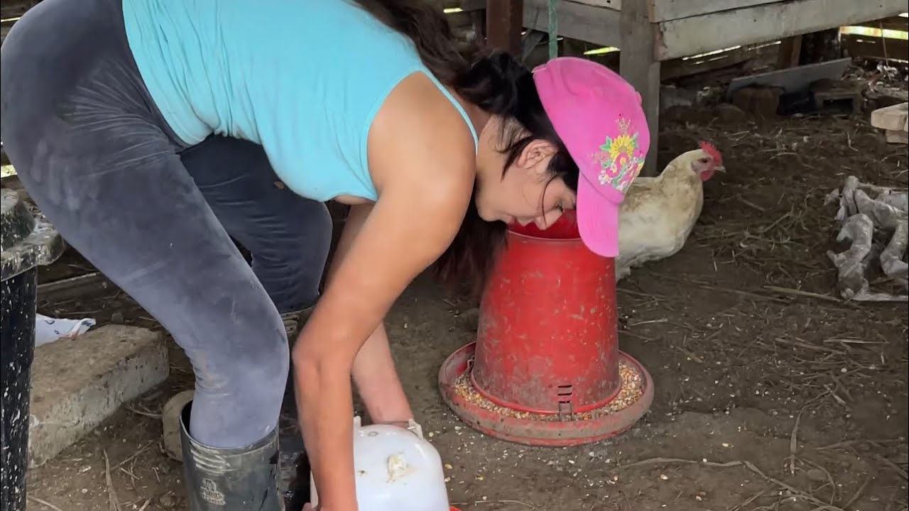 Acompáñenme a alimentar a mis gallinas 🐓 ~ Saida ZC ~ 💚