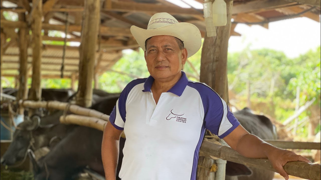 CARABAO DAIRY FARMING PART 2: Mga Considerations Bago Pasukin