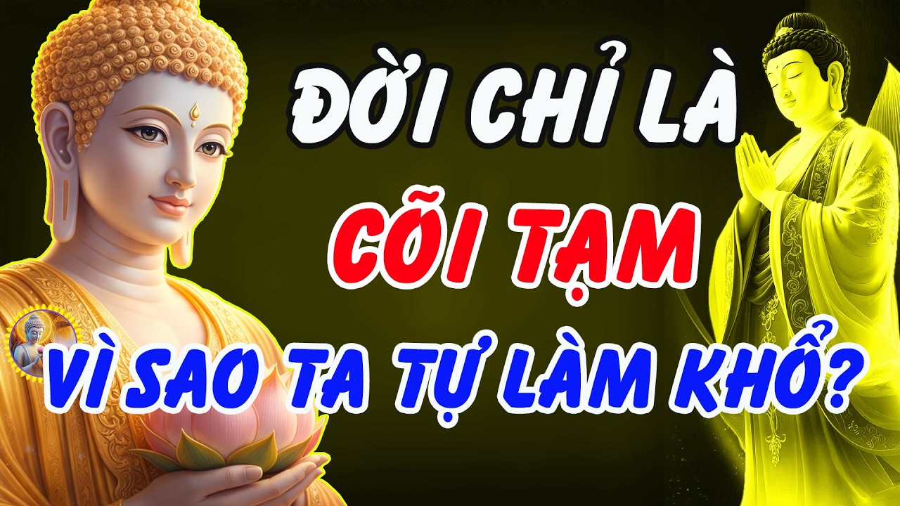 Đời Chỉ Là Cõi Tạm! Lời Phật Dạy Khiến Nhiều Người Bừng Tỉnh: Vì Sao Ta Phải Tự Làm Khổ Mình?