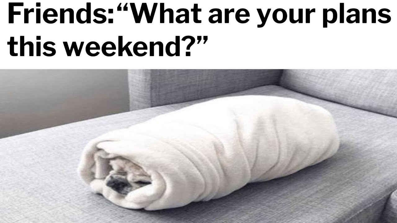Introvert Memes