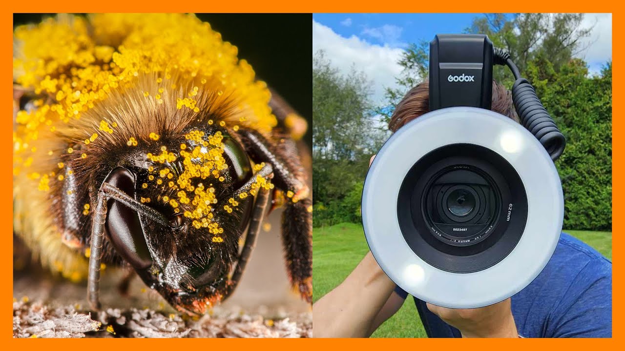 Insect Macro Photography | New Godox MF-R76 Flash