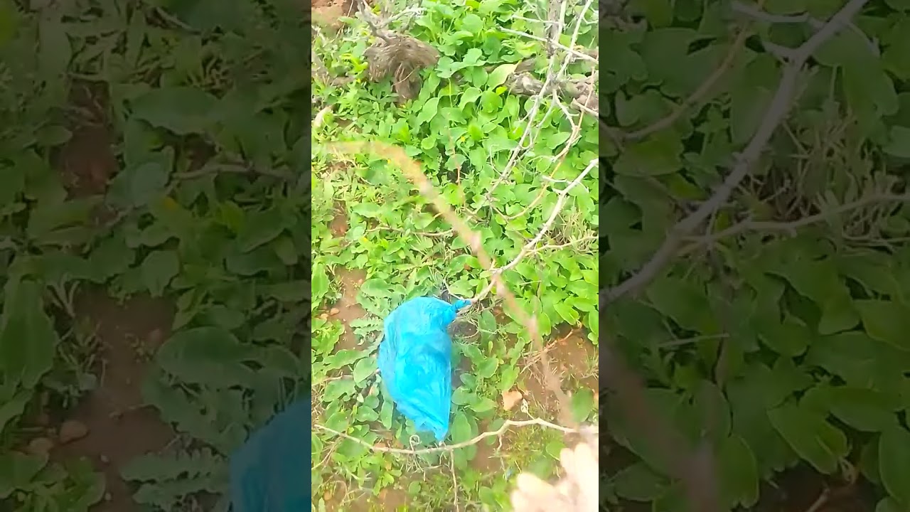 ٢ فبراير ٢٠٢٦