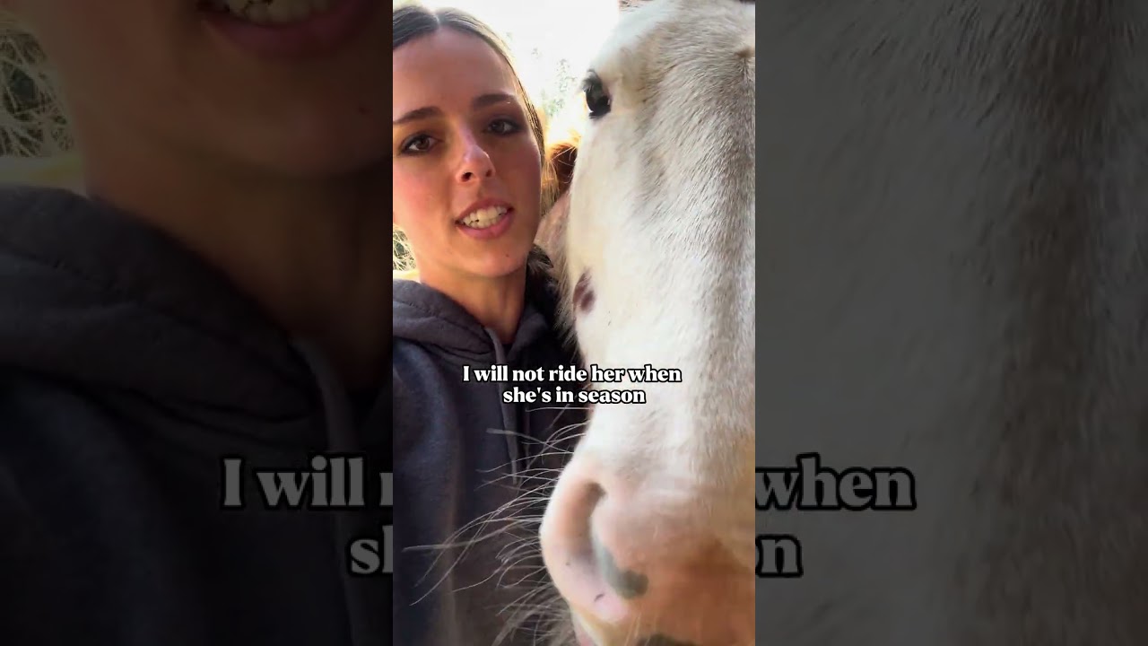 Mares vs Geldings
