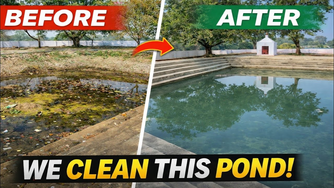 We Clean Our Temple's Pond