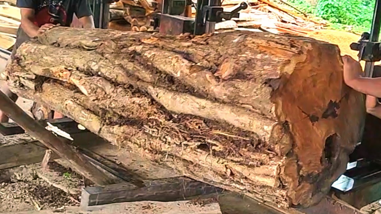 Sawing sacred wood