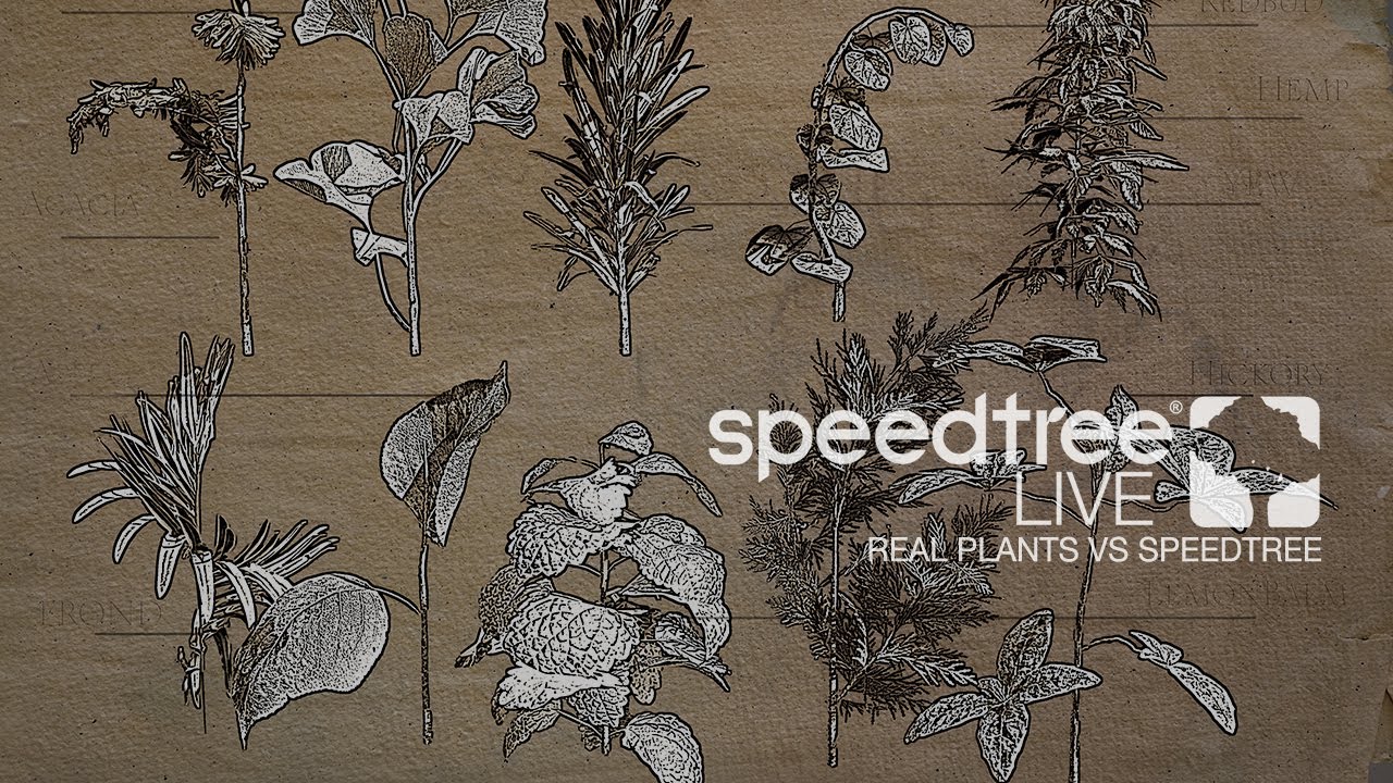 Real Plants vs. SpeedTree