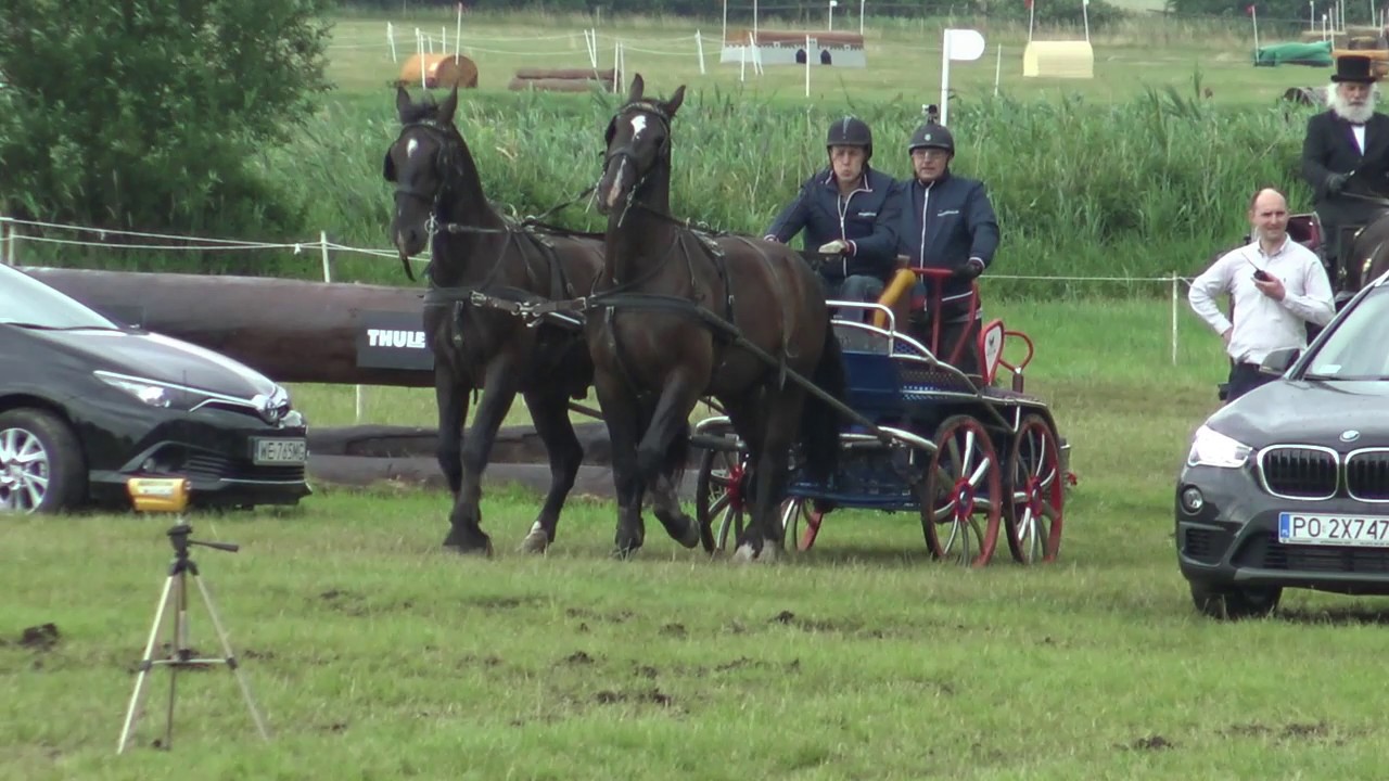 Baborówko 2017