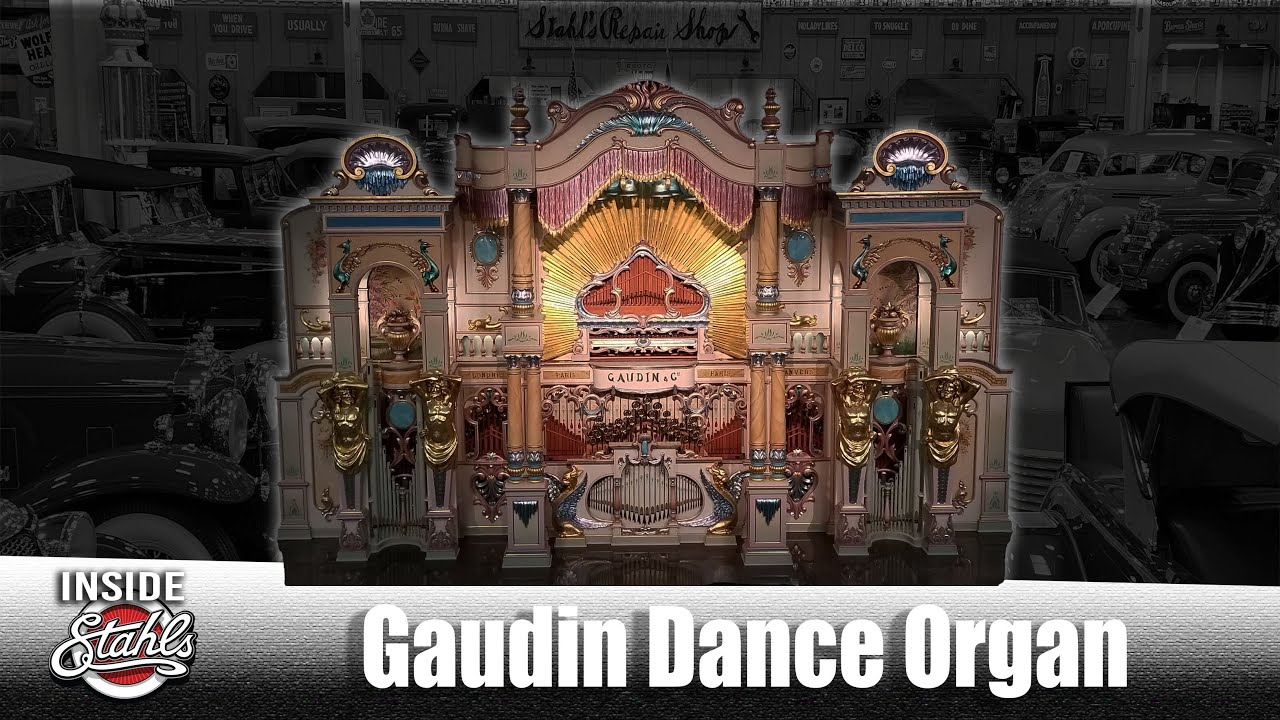 The Secret Life of the Gaudin Organ Revealed