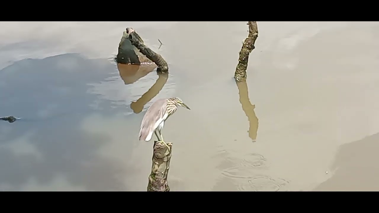 26 February 2026The owners of the Nilwala River in Matara