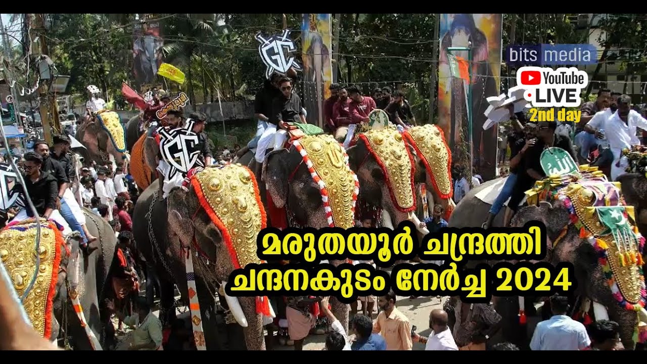 മരുതയൂർ ചന്ദനകുടം നേർച്ച 2024 .. രണ്ടാം ദിവസം I maruthayur nercha I  chendrathi nercha