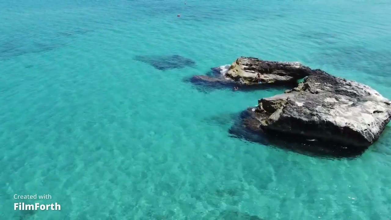 SAN FOCA