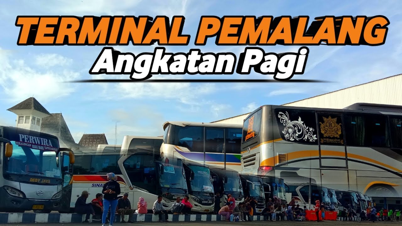 HUNTING BIS ANGKATAN PAGI ! - Ramee Banget | Terminal Induk Kota Pemalang