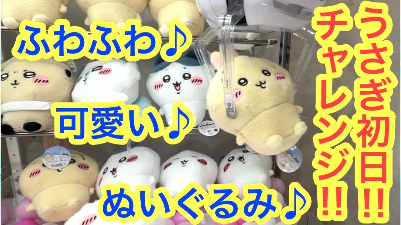 【ちいかわ】初日ちいかわプライズチャレンジ！！うさぎしーぷわぬいぐるみ！！＾＾しろたんストアにも遊びに行くよ＾＾