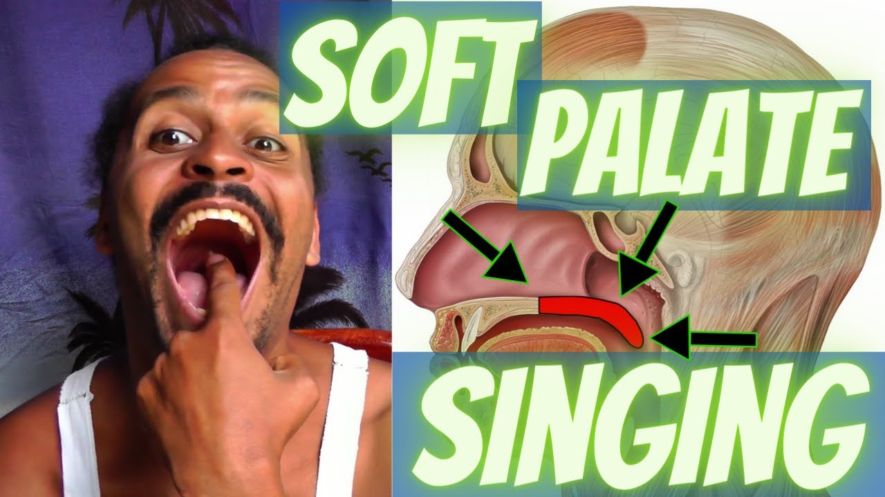 Soft Palate in Singing – Anatomical Vocal Training (30)