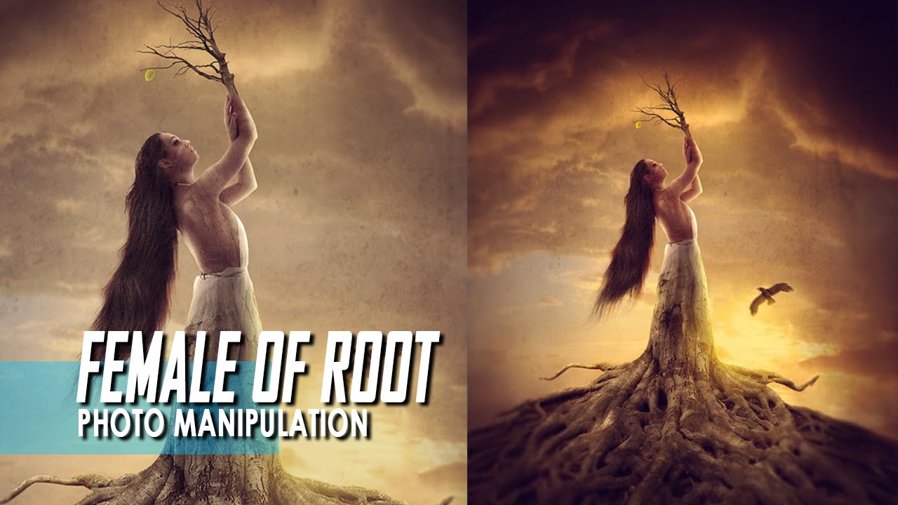 Photoshop  - Manipulation - Female Of Root