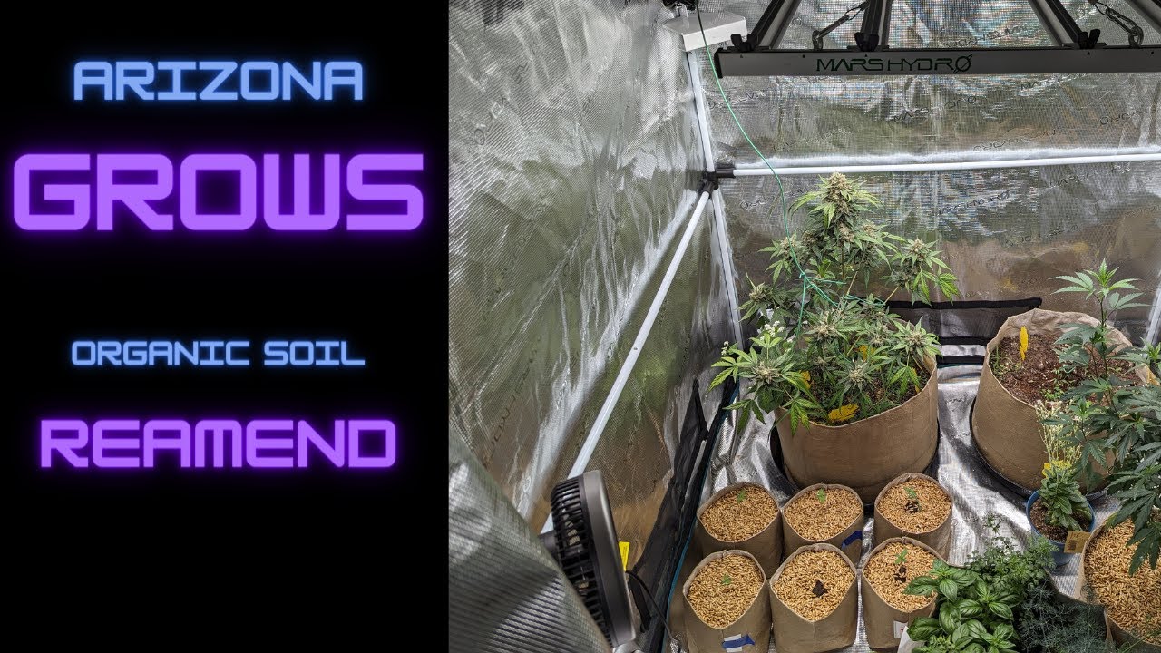 Reamending The Grass Roots Ten Gallon Pot