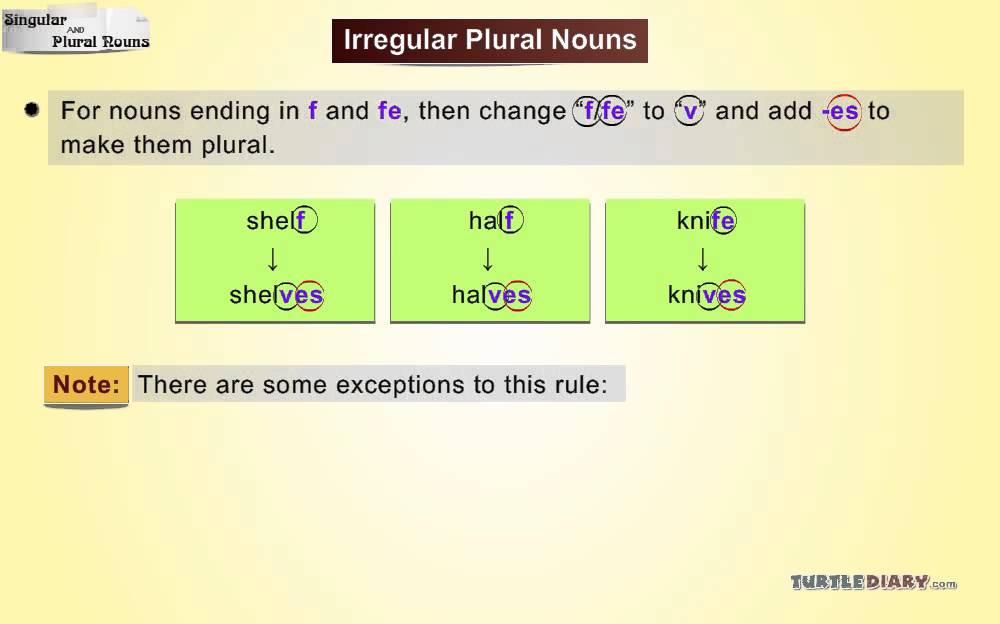 Singular & Plural Nouns *Everything You Need To Know* Grammar for Kids!