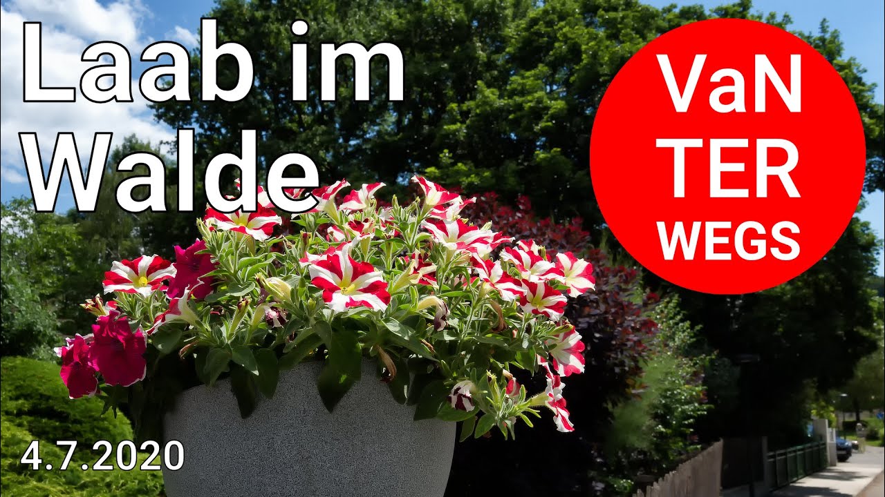 Laab im Walde | 4.7.2020