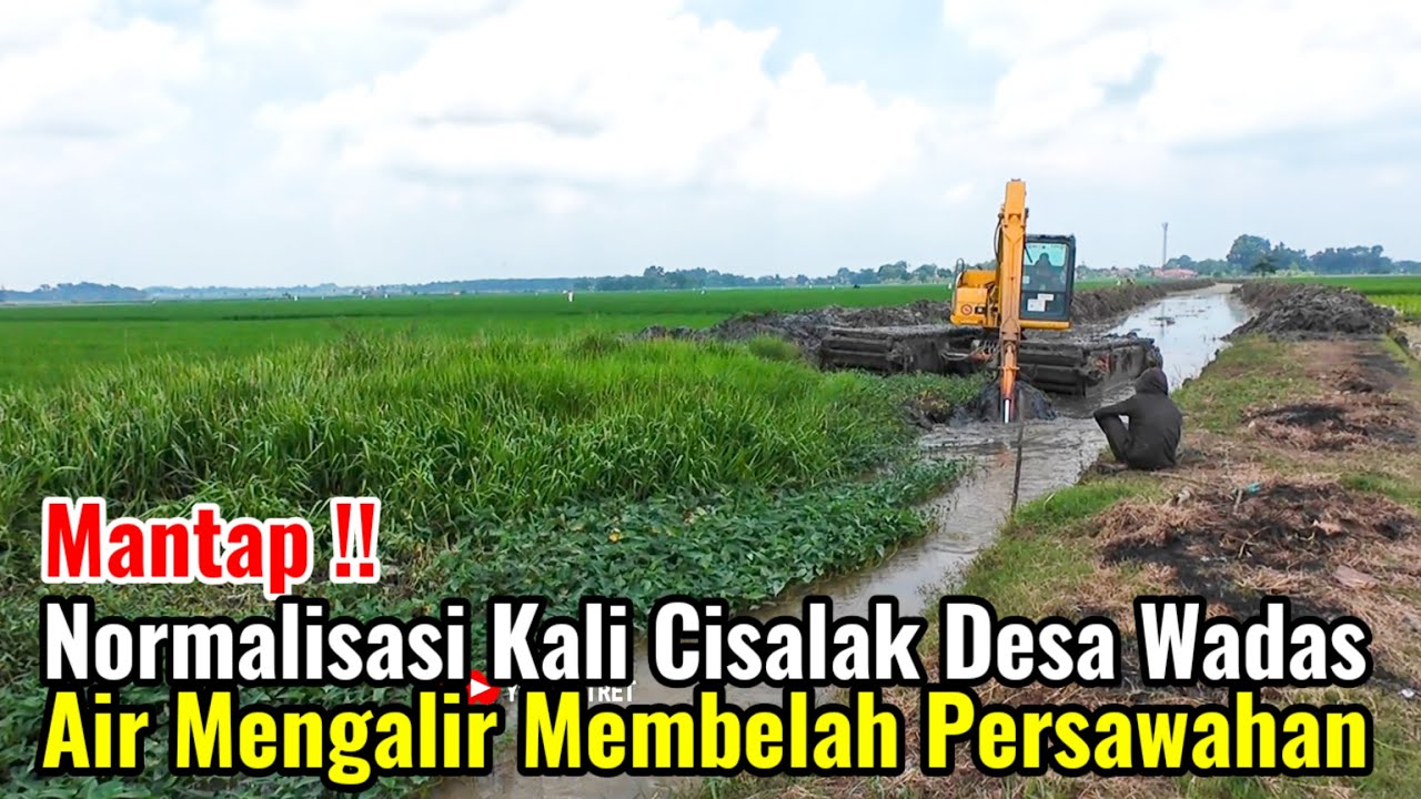 Mantap‼️Normalisasi Kali Cisalak Desa Wadas Air Mengalir Membelah Persawahan Hijau