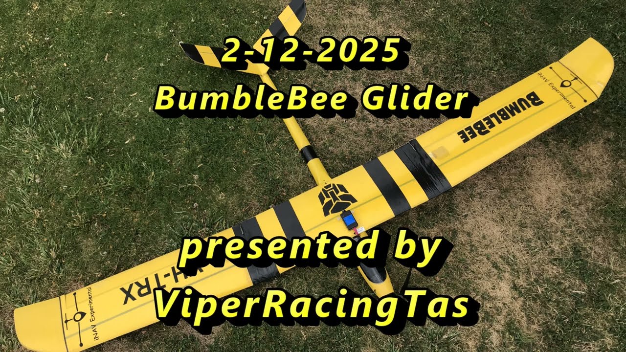 BumbleBee     2-12-2025
