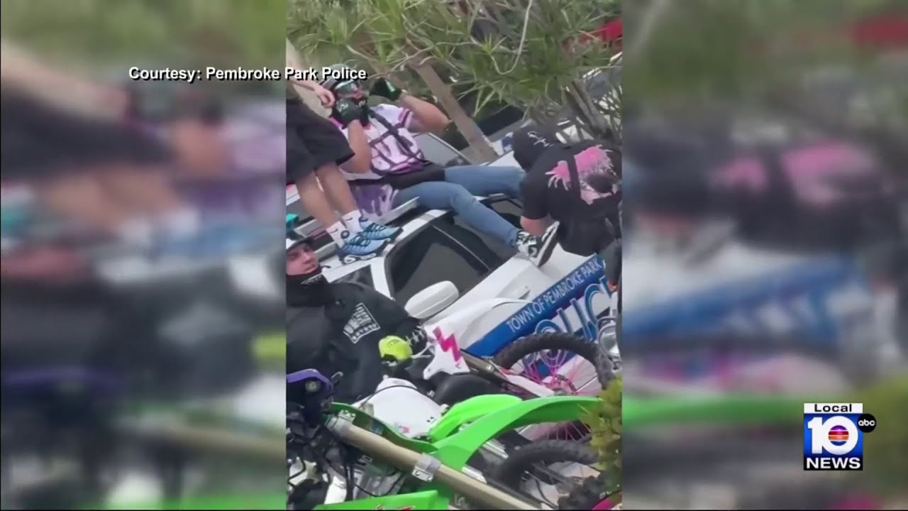 Video shows vandals wanted in Pembroke Park