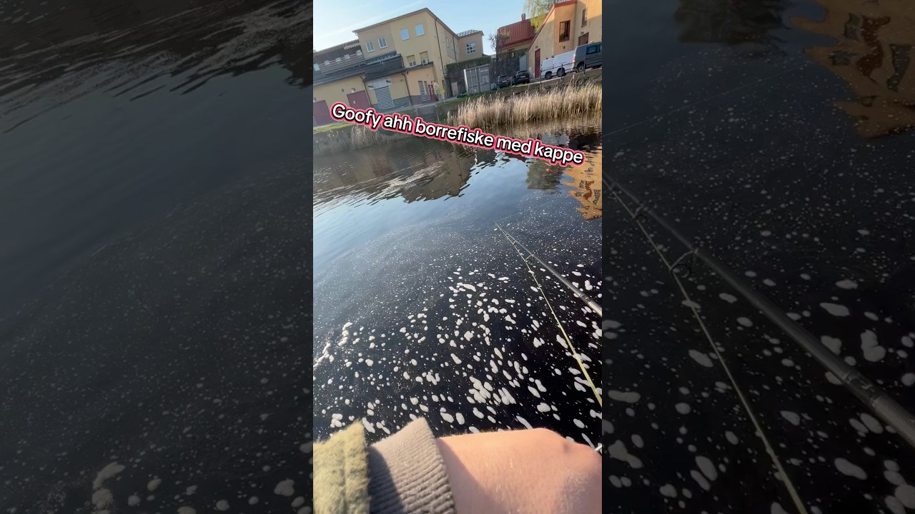 #fishingtok  #catchoftheday #angler  #fishingaddict  #baitcasting #spinnfiske  #abborre #g&auml;dda