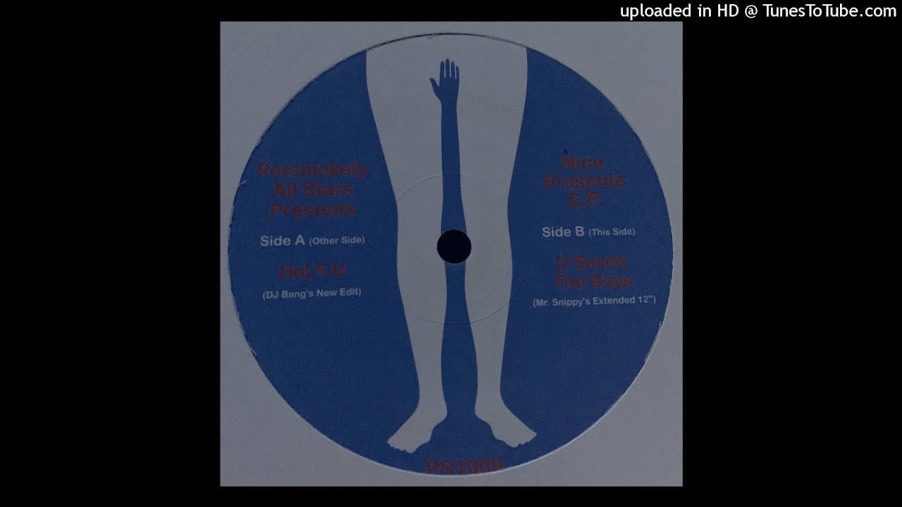 Persnickety All Stars Presents | U Saved The Days (Mr. Snippy's Extended 12