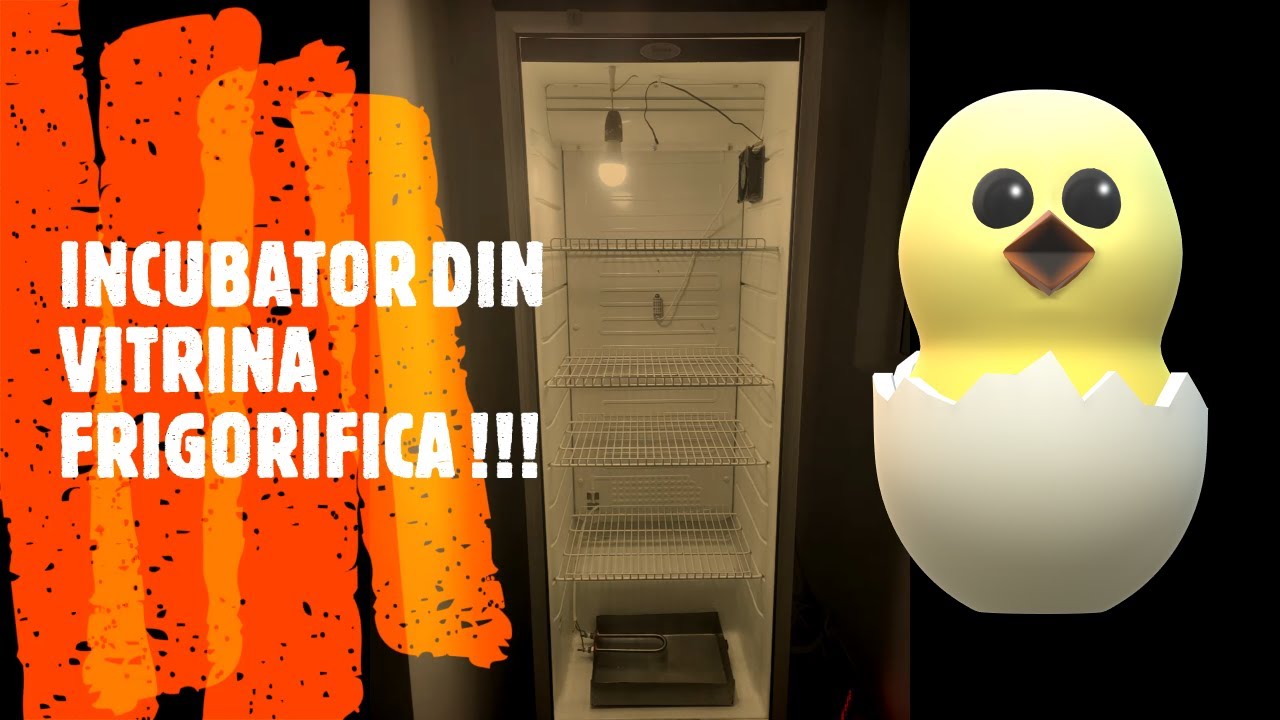 DIY - Cum să faci INCUBATOR DE OUĂ acasă, folosind o Vitrina Frigorifica !!!