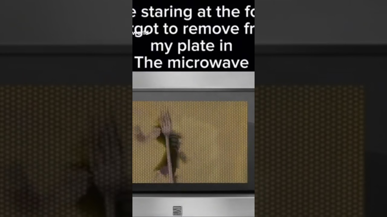 Leaving the fork in the microwave😭😭 #helpmemakethismakesense #funnyimages #amnewbutnottheleast
