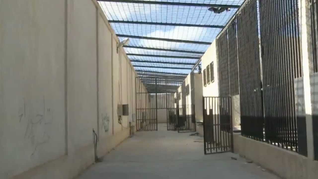 ناتو وليبيا -- داخل عين زارة، أحد سجون القذافي