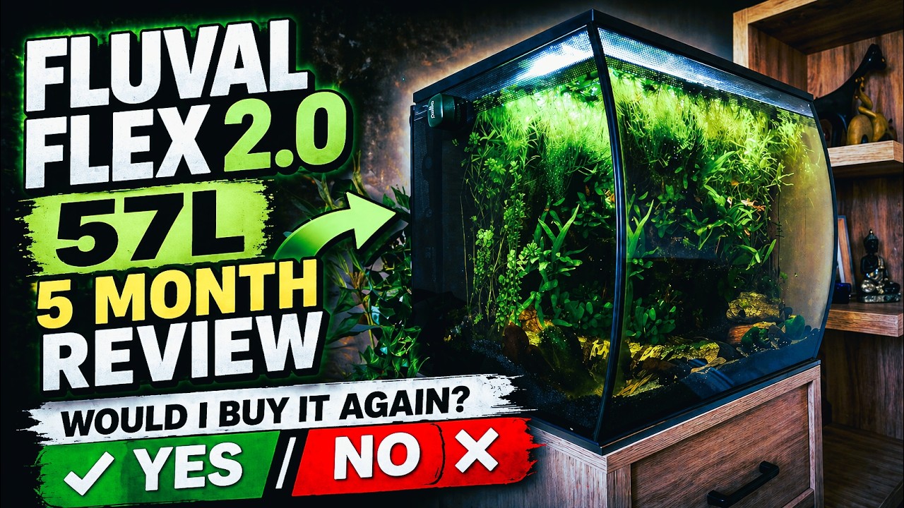 Отзыв о водонагревателе Fluval Flex 2 O 57L (5 месяцев использования). Купил бы я его снова, ДА и...