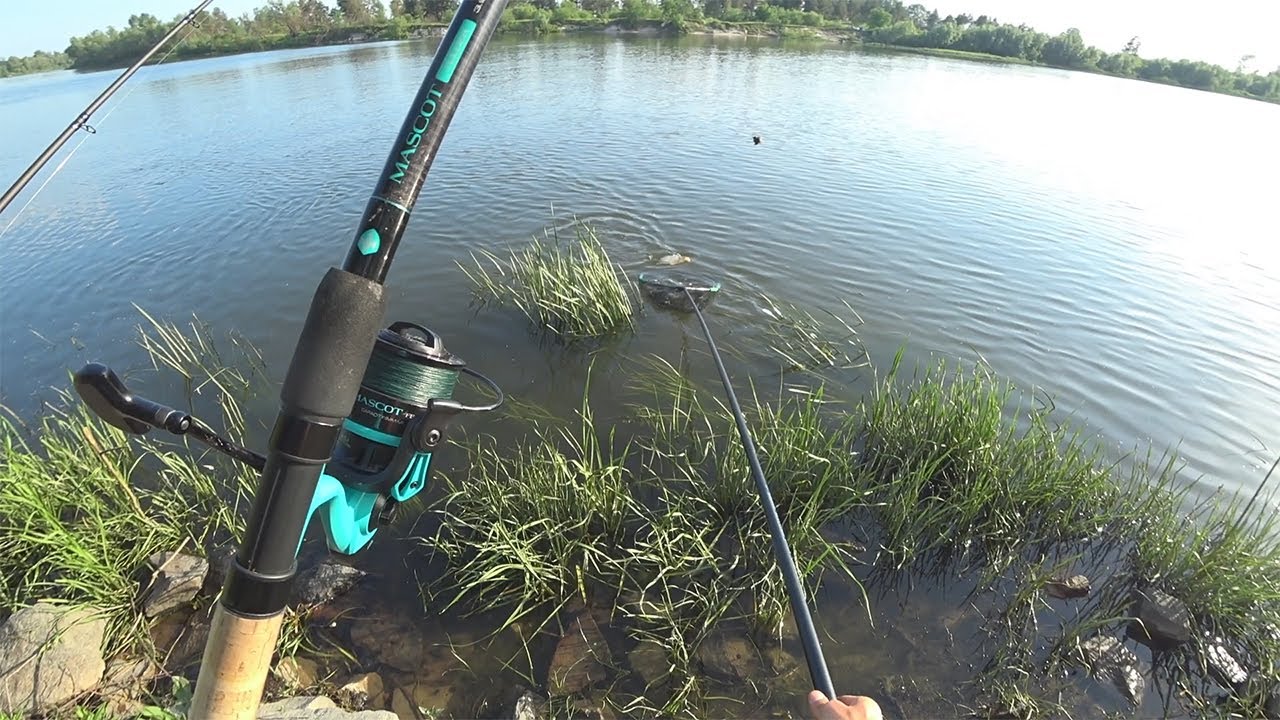 Вечерняя рыбалка в начале лета на Десне. Ищем ключик к Деснянским лещам. Рыбалка 2020